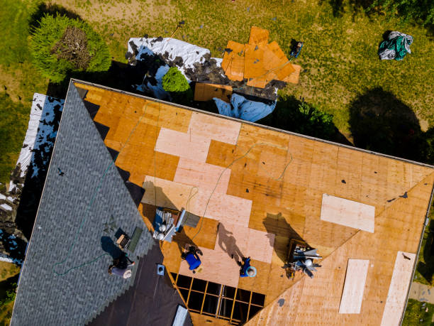 Roof Gutter Cleaning in Machesney Park, IL