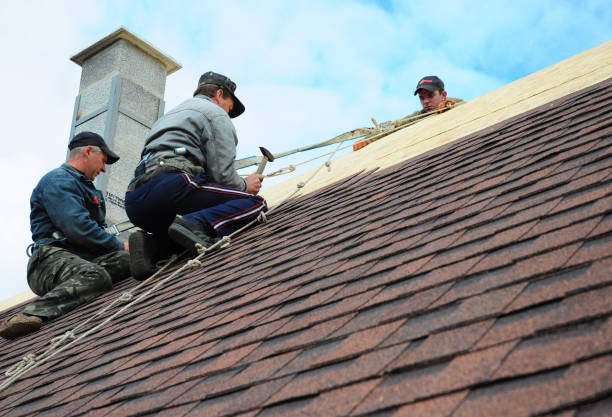 Best Roof Gutter Cleaning  in Machesney Park, IL
