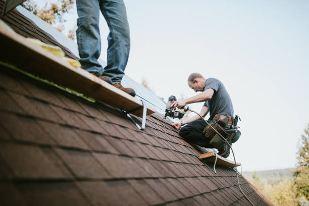 Best Roof Waterproofing Services  in Machesney Park, IL